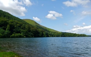 Burnbank Fell from Loweswater