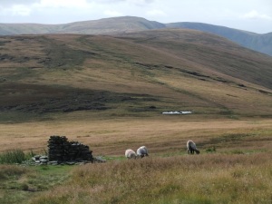 Wether Hill, from Lowther House