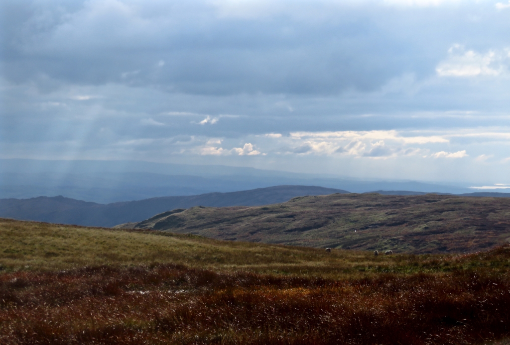 View from Harrop Pike